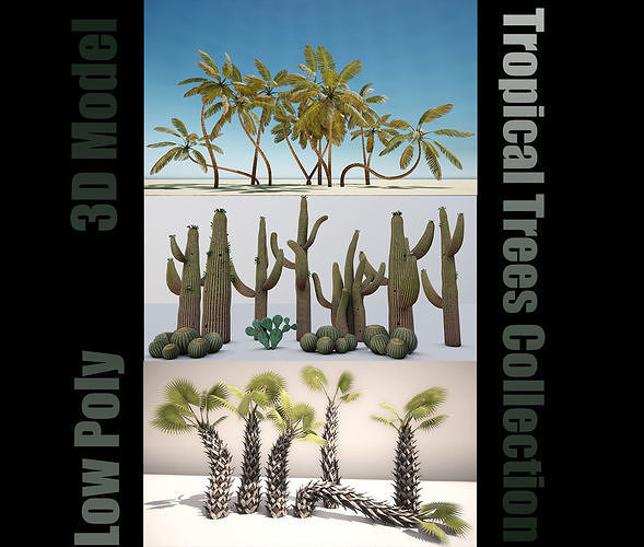 tropical Trees - Game Ready 3D Model Collection