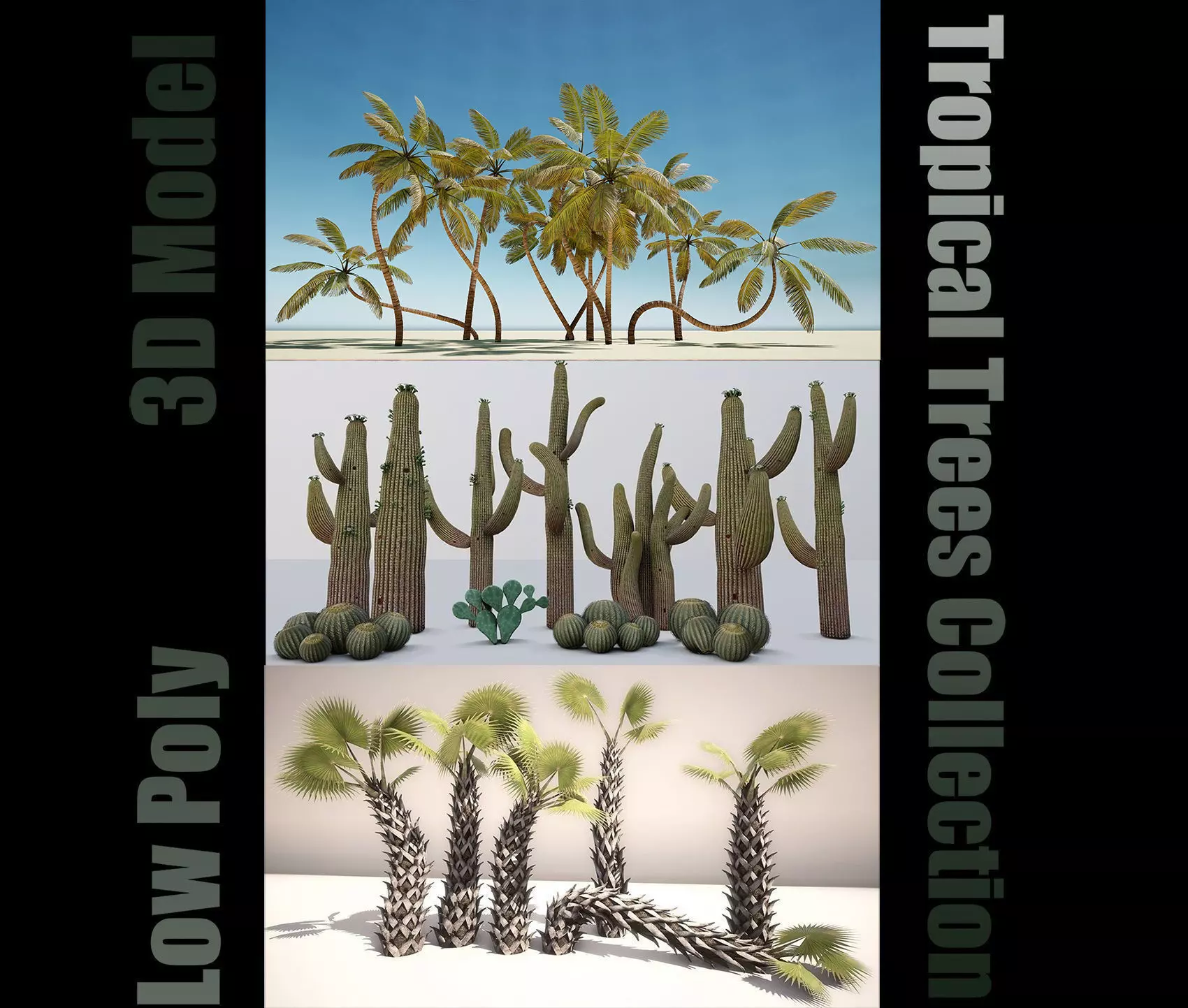 tropical Trees - Game Ready 3D Model Collection_0