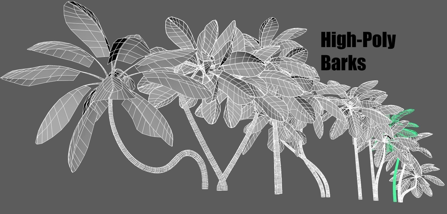 tropical Trees - Game Ready 3D Model Collection_4