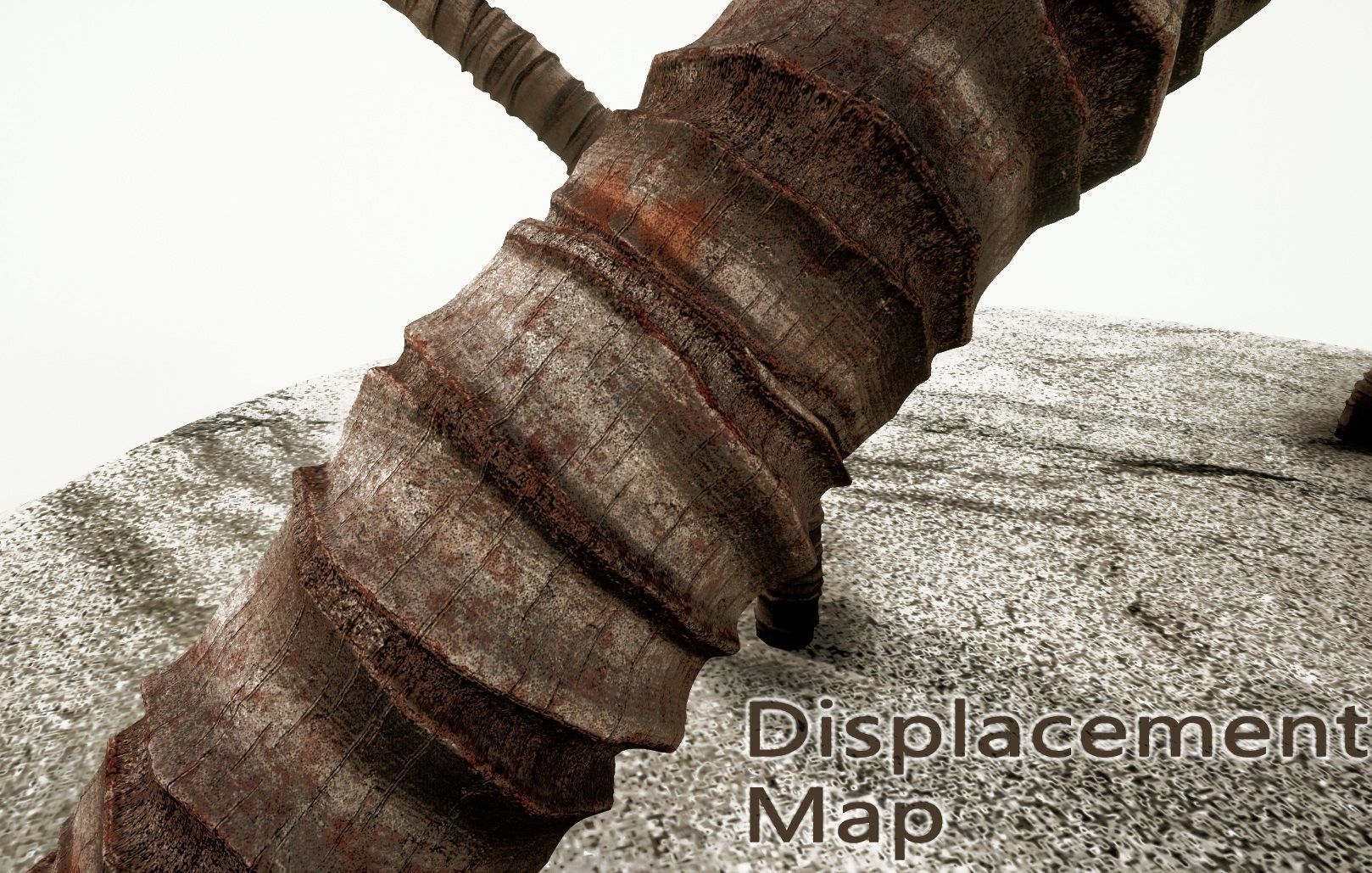 tropical Trees - Game Ready 3D Model Collection_11