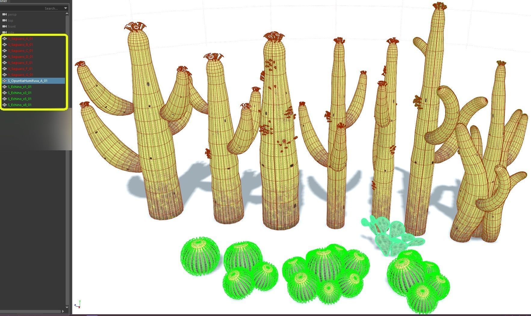 tropical Trees - Game Ready 3D Model Collection_17