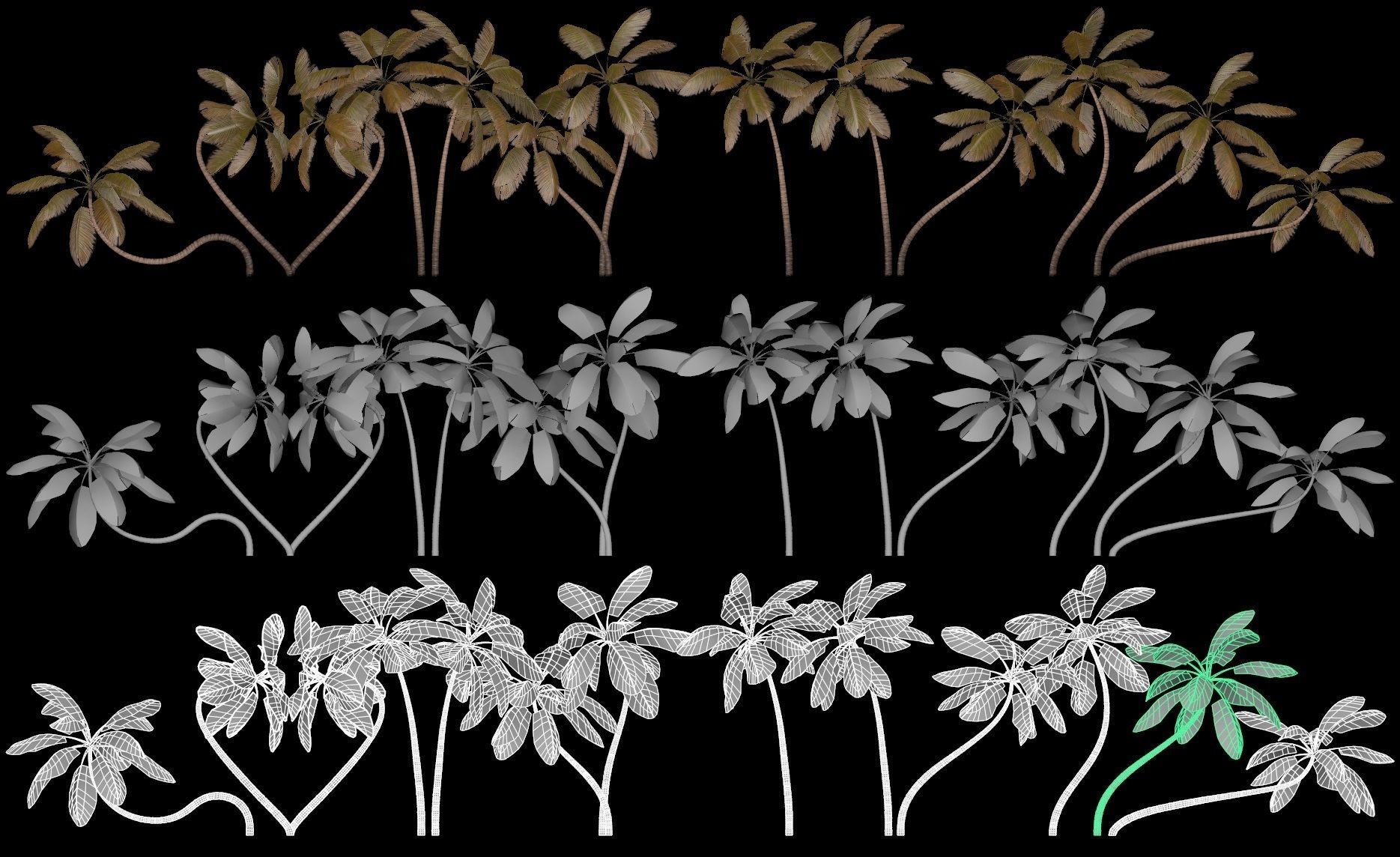 tropical Trees - Game Ready 3D Model Collection_1