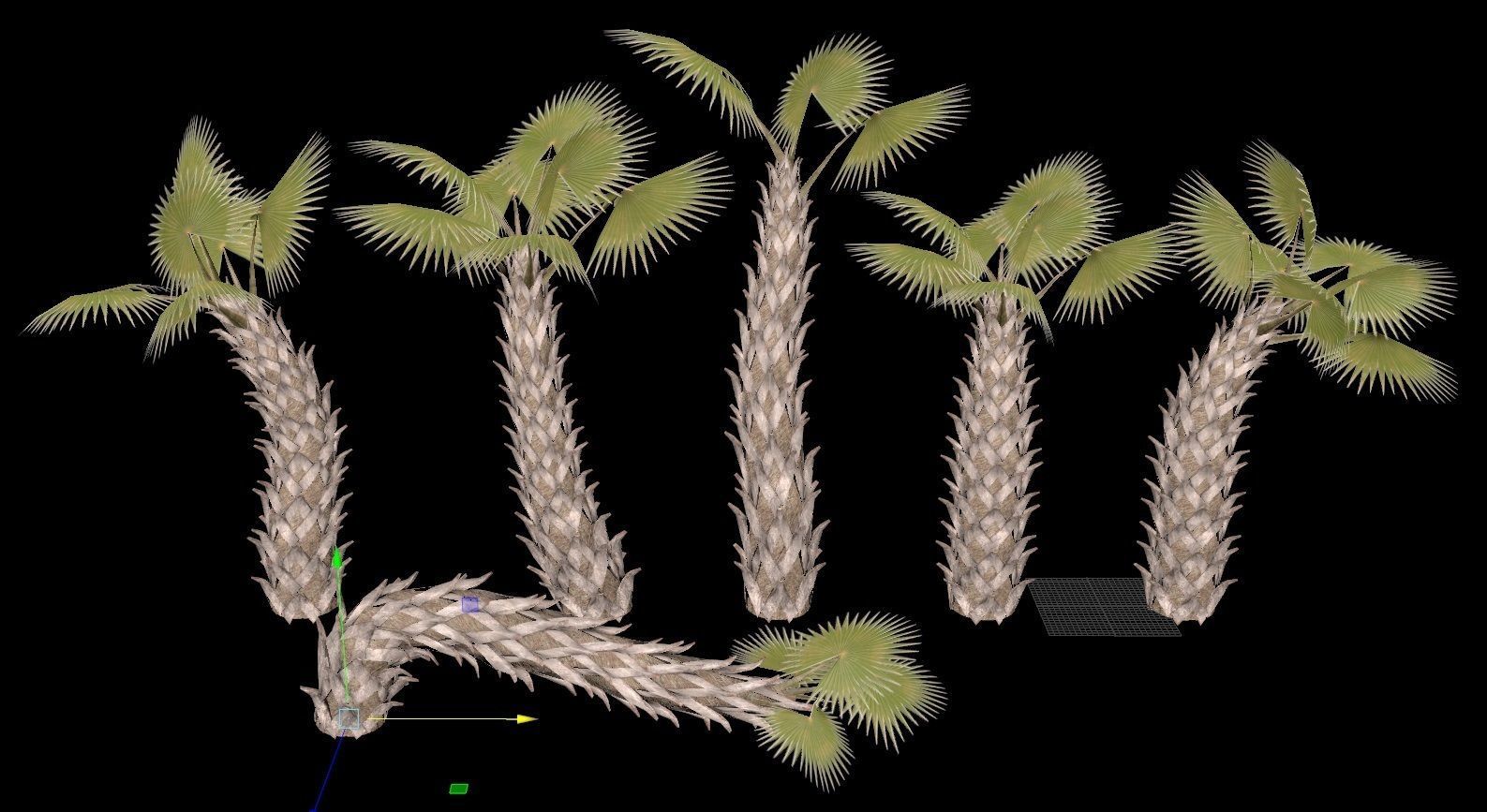 tropical Trees - Game Ready 3D Model Collection_20