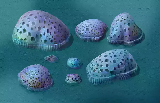 Submarine Cartoon World - Cellular Coral