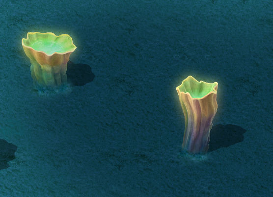 Submarine Cartoon World - Sea King Conch 02 3D model_4