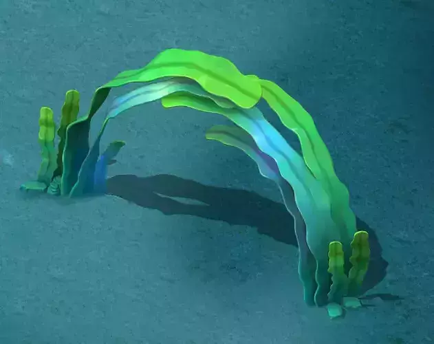 Seaside Cartoon World - Seaweed Arches