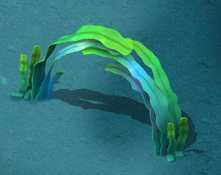 Seaside Cartoon World - Seaweed Arches 3D model_0