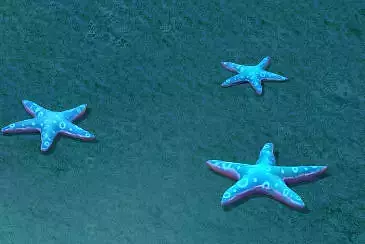 bmarine cartoon world - blue five - pointed star