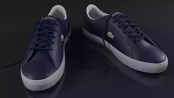 Lacoste Navy White Shoes