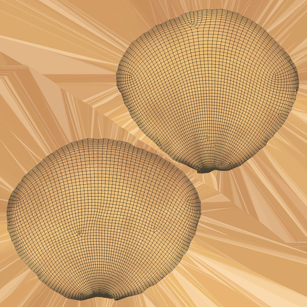 Waffle Cone with Flowers 3D model_11