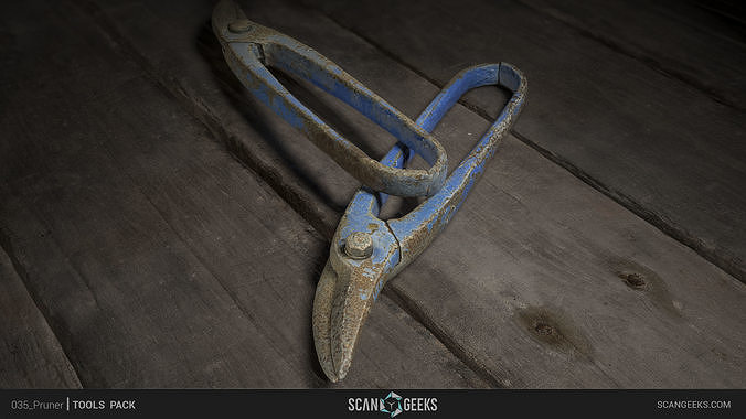 Pruner - Photogrammetry Asset 3D PhotoScan  Low-poly 3D model