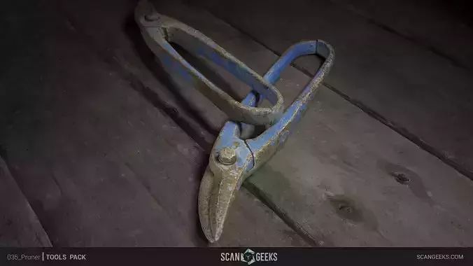 Pruner - Photogrammetry Asset 3D PhotoScan  Low-poly 3D model