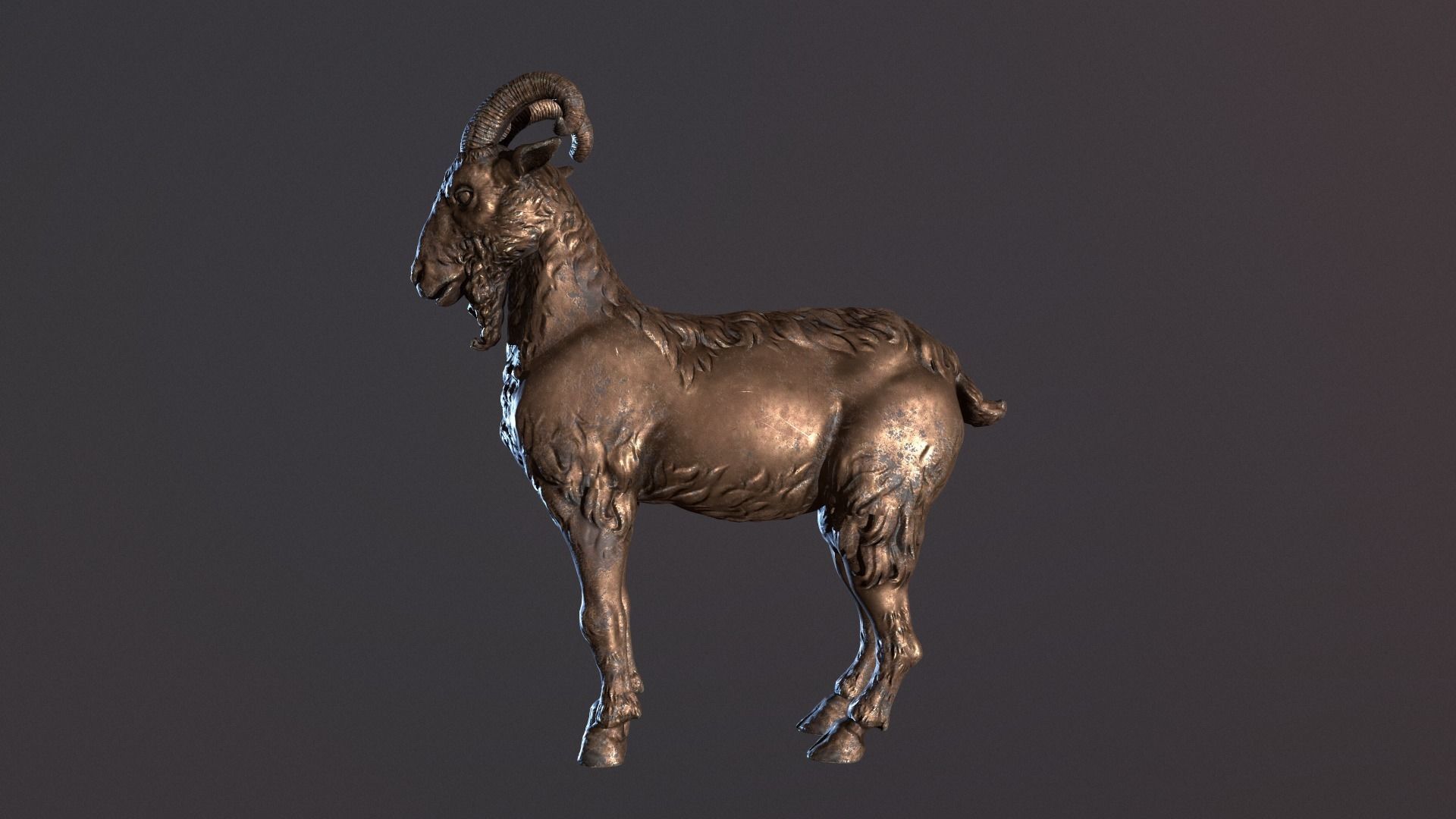 Goat sculpted Low-poly 3D model_4