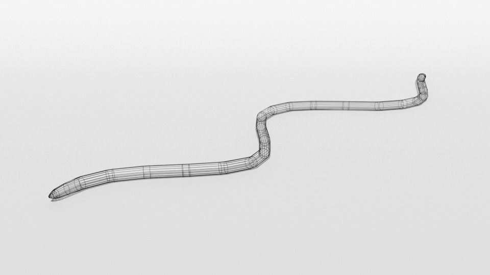 Low Poly Cartoon Coral Snake Low-poly 3D model_14