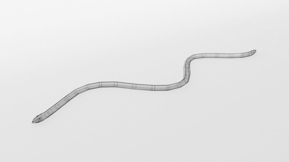 Low Poly Cartoon Coral Snake Low-poly 3D model_10