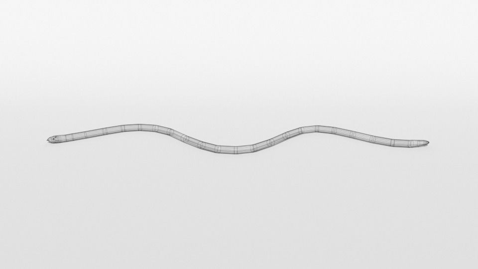 Low Poly Cartoon Coral Snake Low-poly 3D model_11