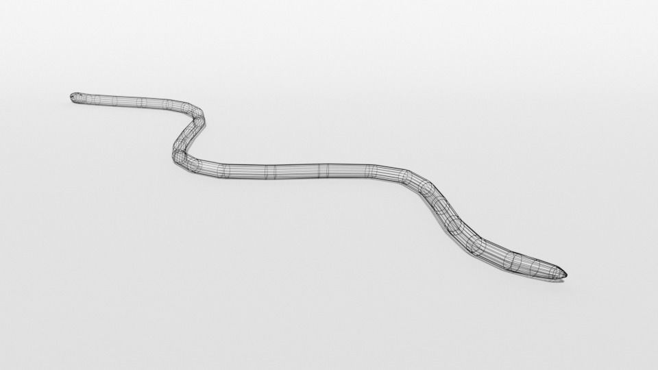 Low Poly Cartoon Coral Snake Low-poly 3D model_12