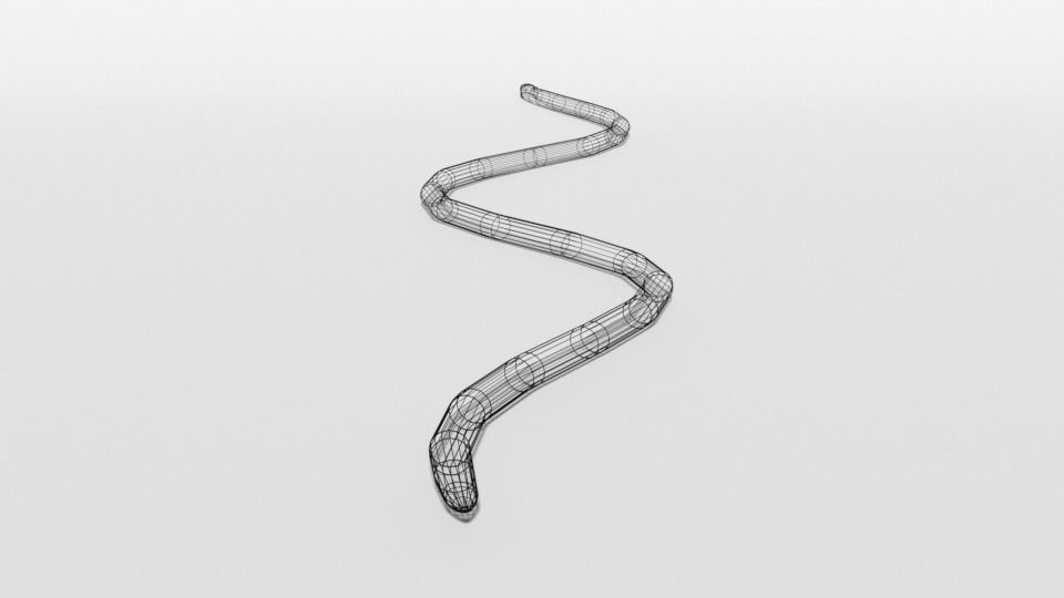 Low Poly Cartoon Coral Snake Low-poly 3D model_13