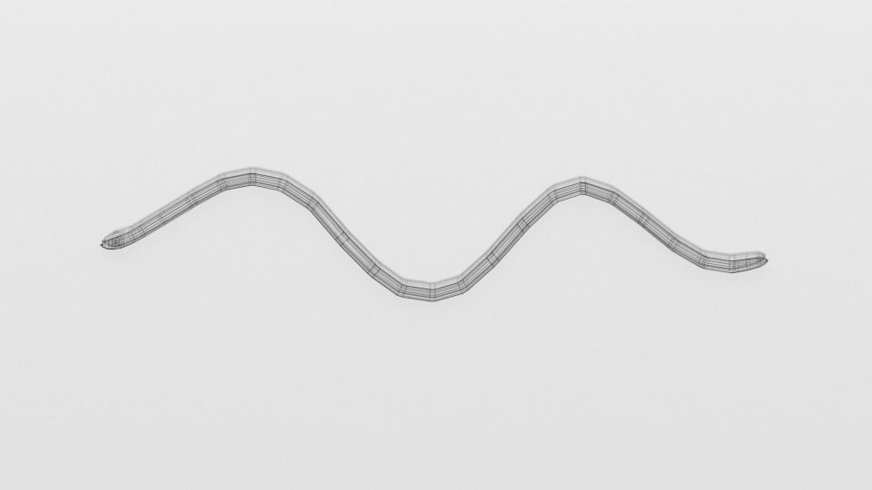 Low Poly Cartoon Coral Snake Low-poly 3D model_18