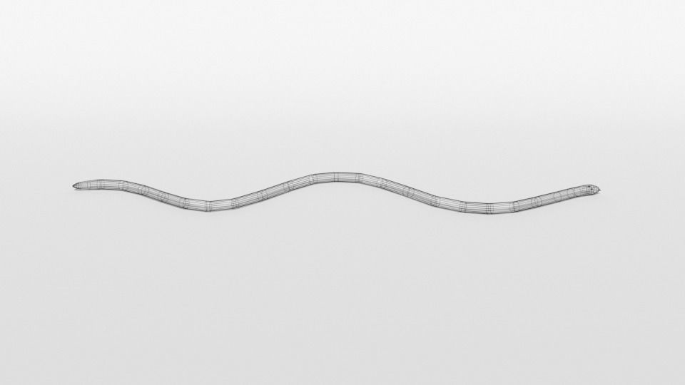 Low Poly Cartoon Coral Snake Low-poly 3D model_15