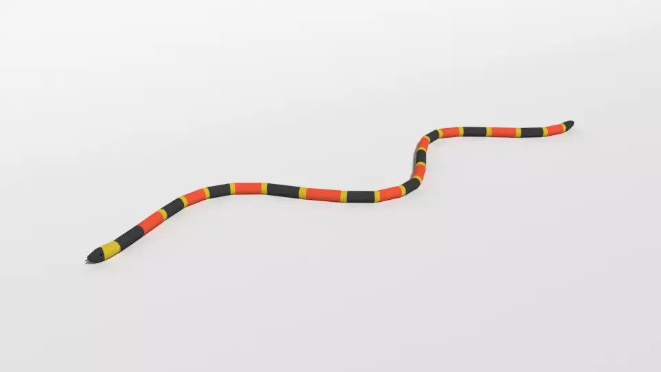Low Poly Cartoon Coral Snake Low-poly 3D model_0