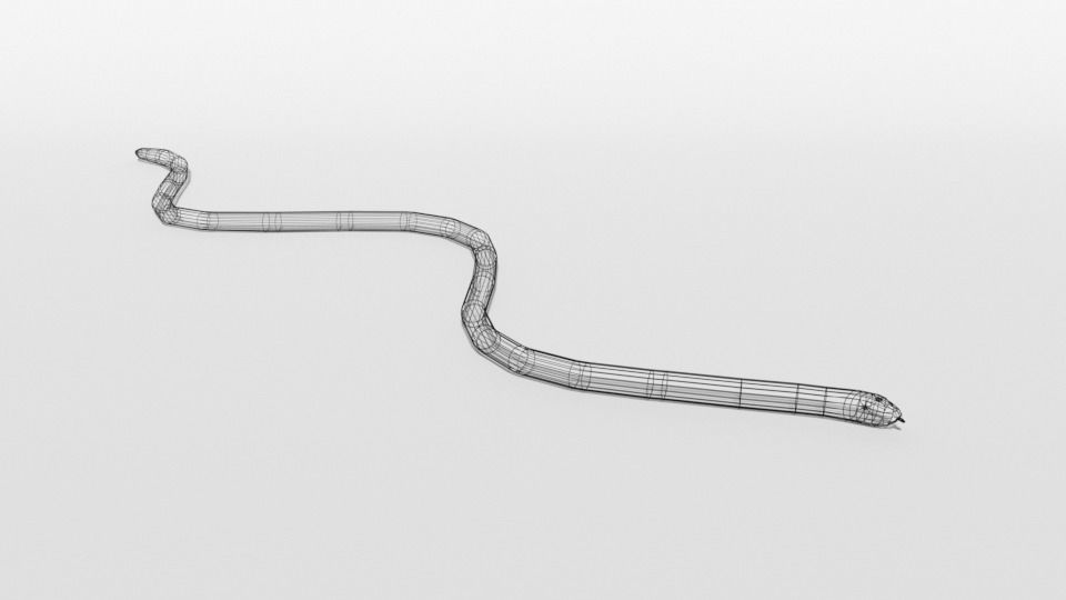 Low Poly Cartoon Coral Snake Low-poly 3D model_16