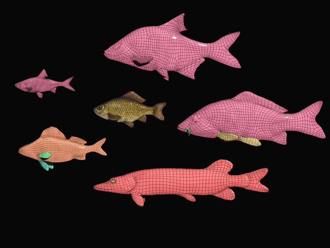 River Fish Collection  Low-poly 3D model_4
