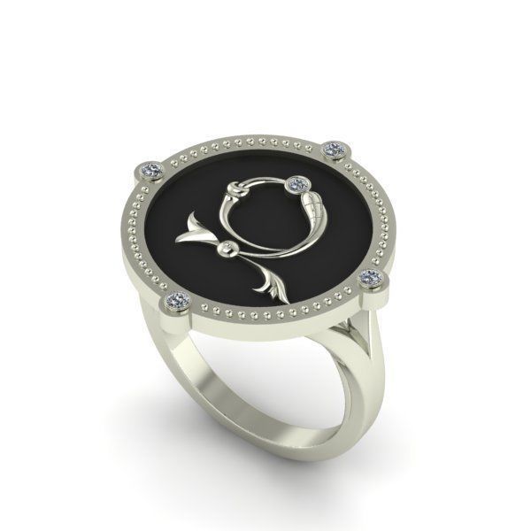 Bird-calligraphy ring Z 3D print model_19