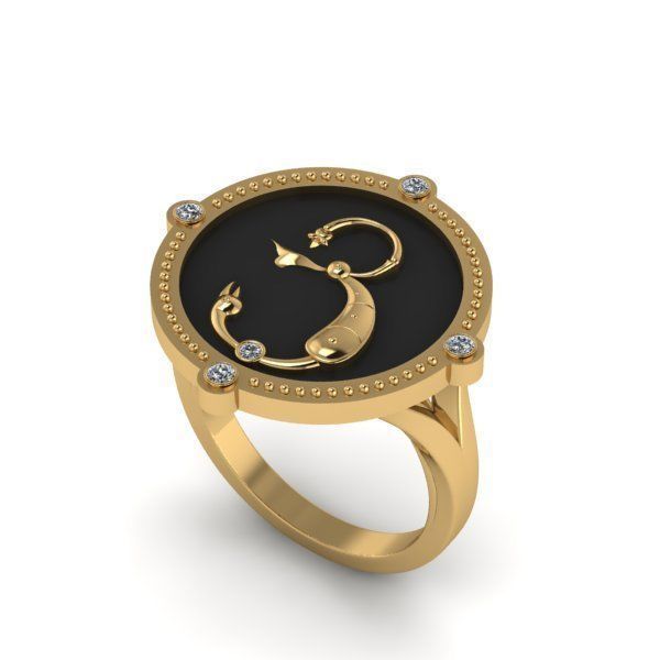 Bird-calligraphy ring Ya 3D print model_21