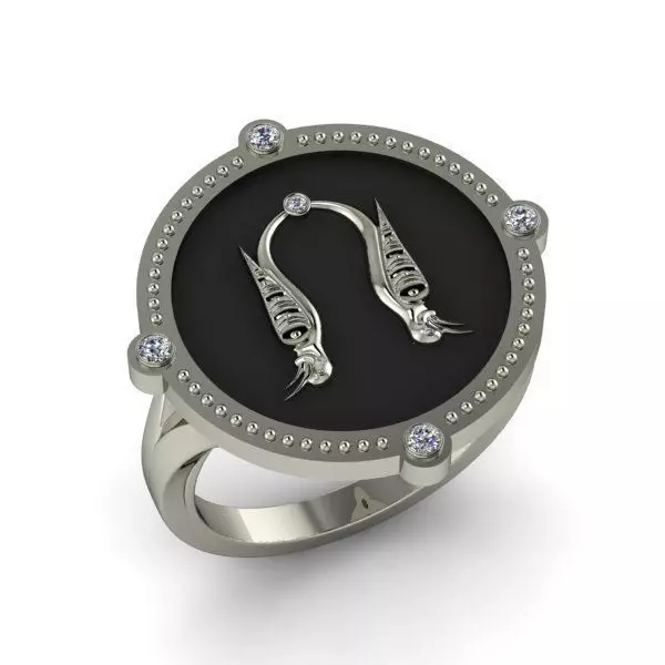 Bird-calligraphy ring Vo 3D print model