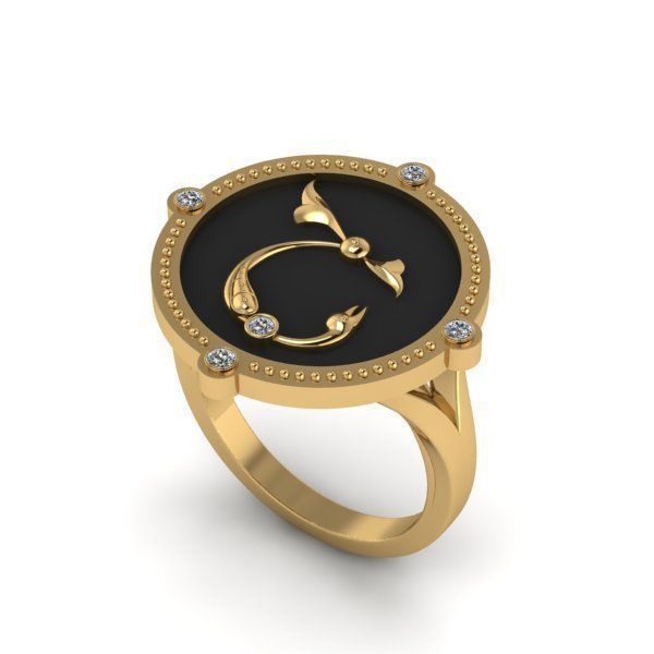 Bird-calligraphy ring Sh 3D print model_21