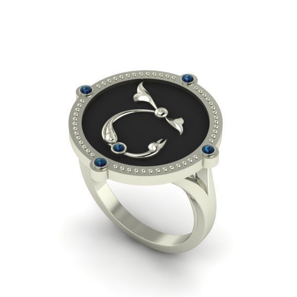 Bird-calligraphy ring Sh 3D print model_18