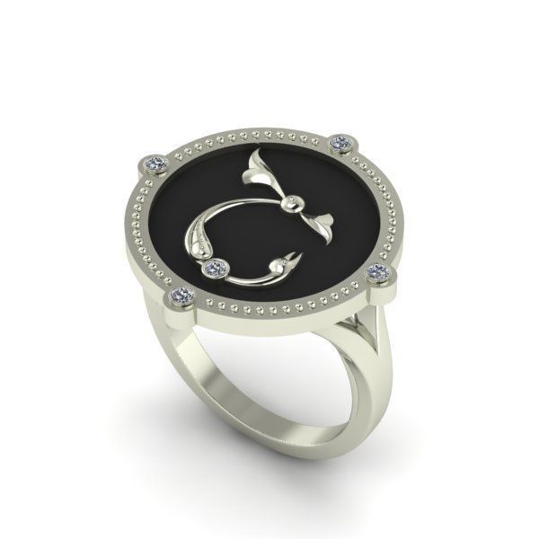 Bird-calligraphy ring Sh 3D print model_19