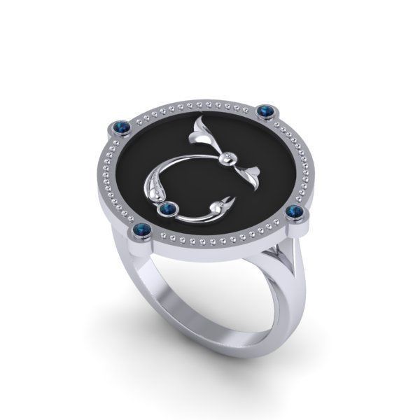 Bird-calligraphy ring Sh 3D print model_16