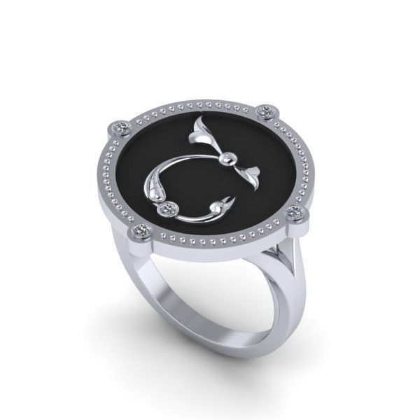 Bird-calligraphy ring Sh 3D print model_17