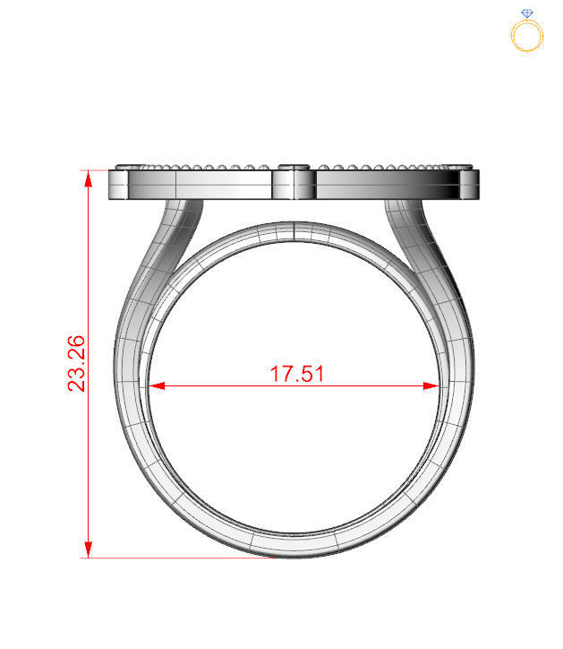 Bird-calligraphy ring K 3D print model_26