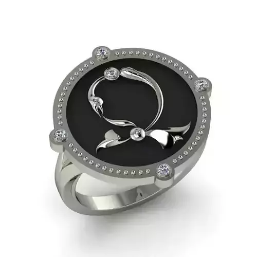 Bird-calligraphy ring Dj 3D print model