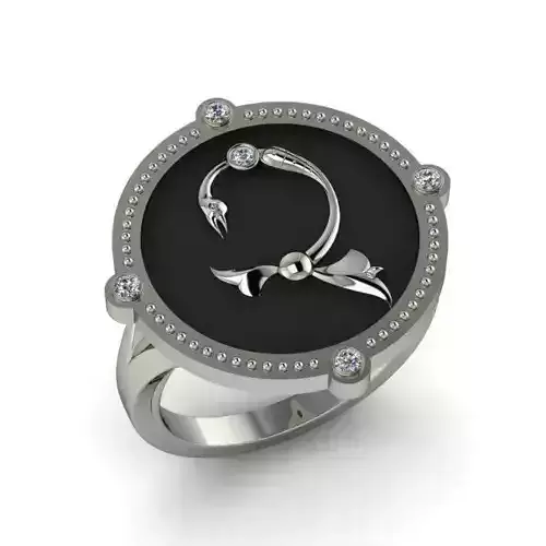Bird-calligraphy ring Ch 3D print model