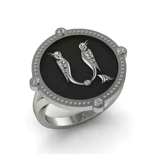Bird-calligraphy ring A 3D print model