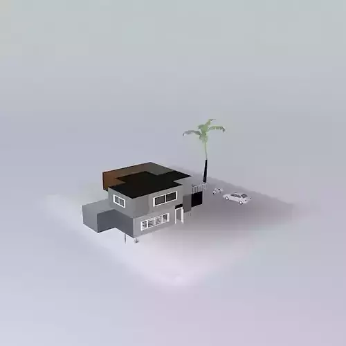 House with palm tree