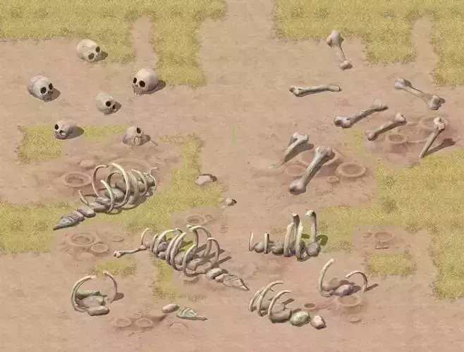 Cartoon version - bones