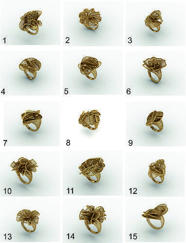Ultra vision Rings - 45 in one 3dm matrix print model 3D print model