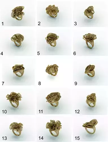 Ultra vision Rings - 45 in one 3dm matrix print model