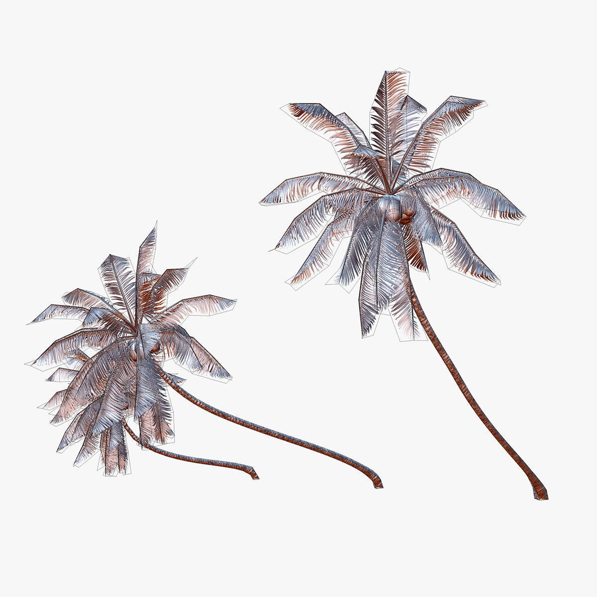 Coconut palm tree Collection - Low Poly Low-poly 3D model_11