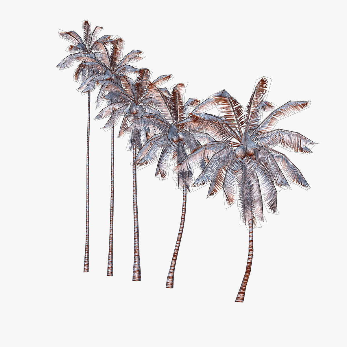 Coconut palm tree Collection - Low Poly Low-poly 3D model_5