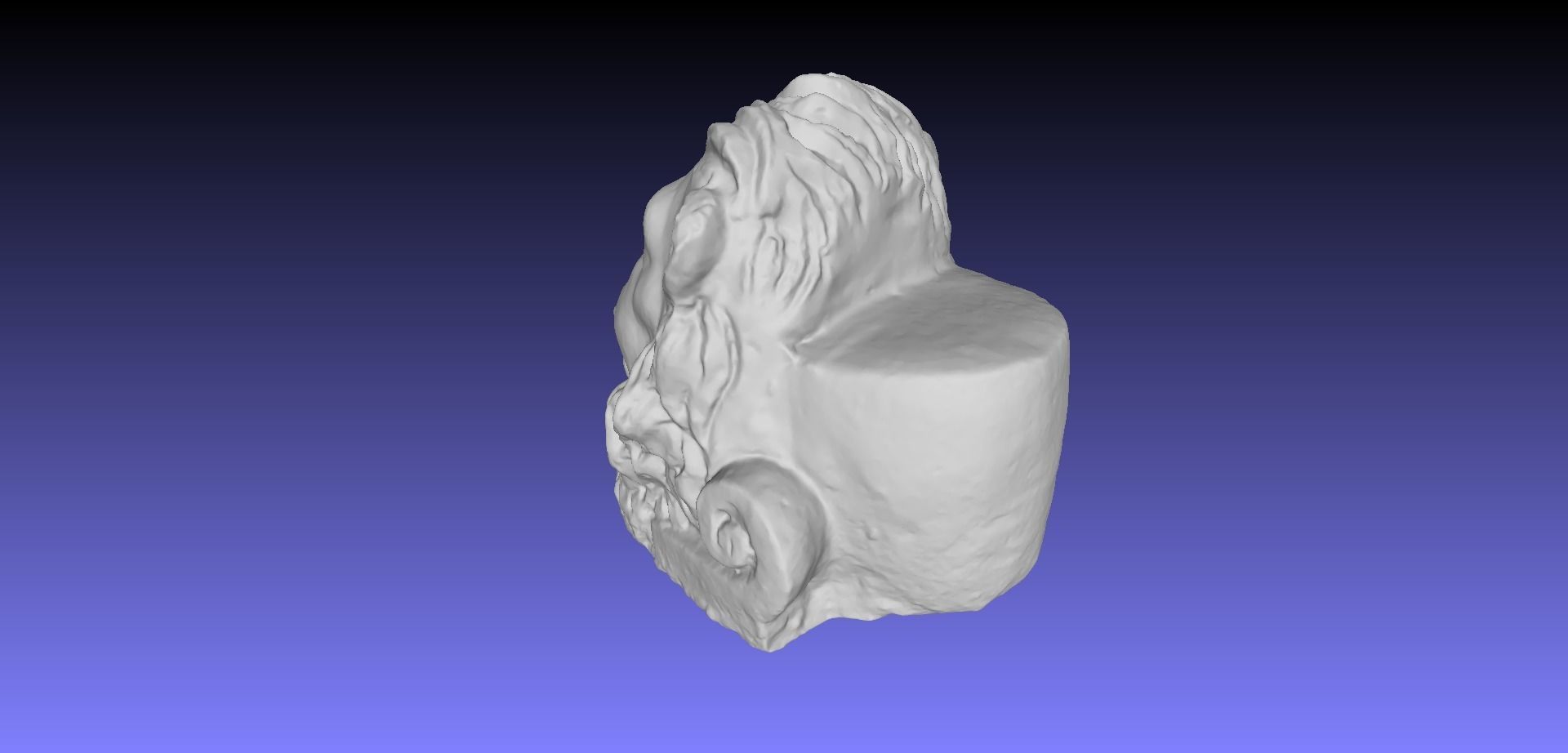 LION HEAD 3D model_11
