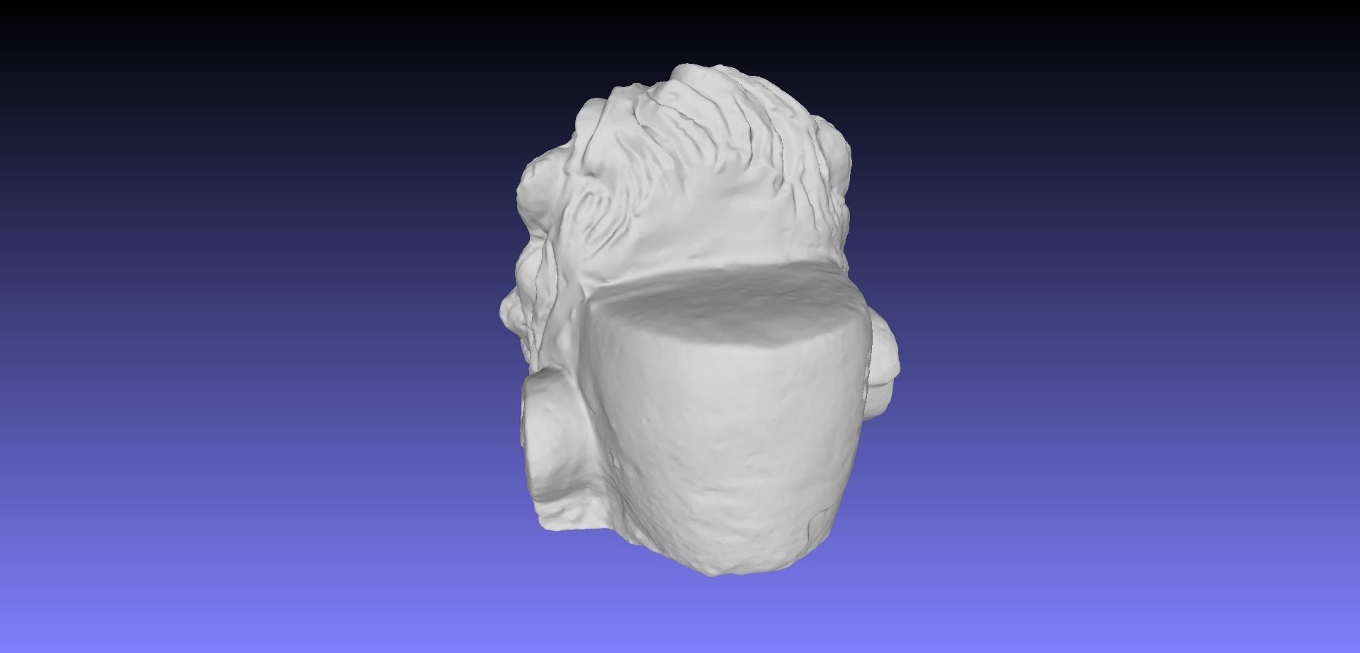 LION HEAD 3D model_13