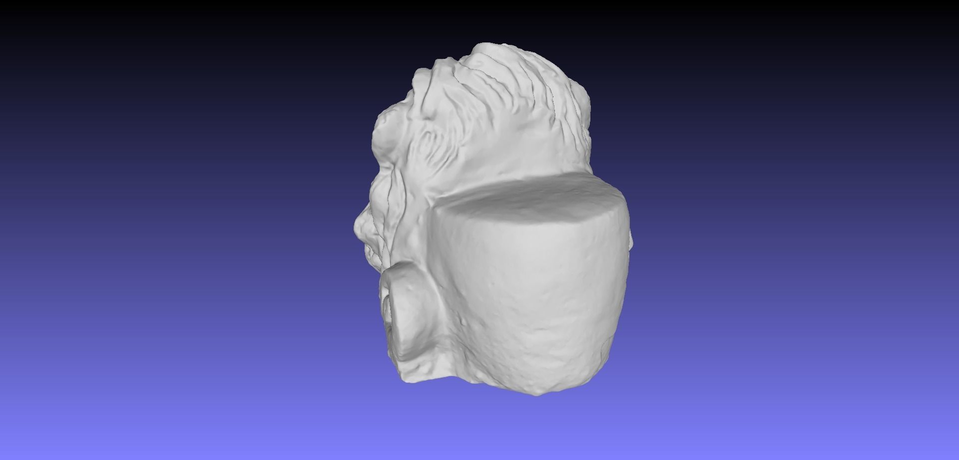 LION HEAD 3D model_12