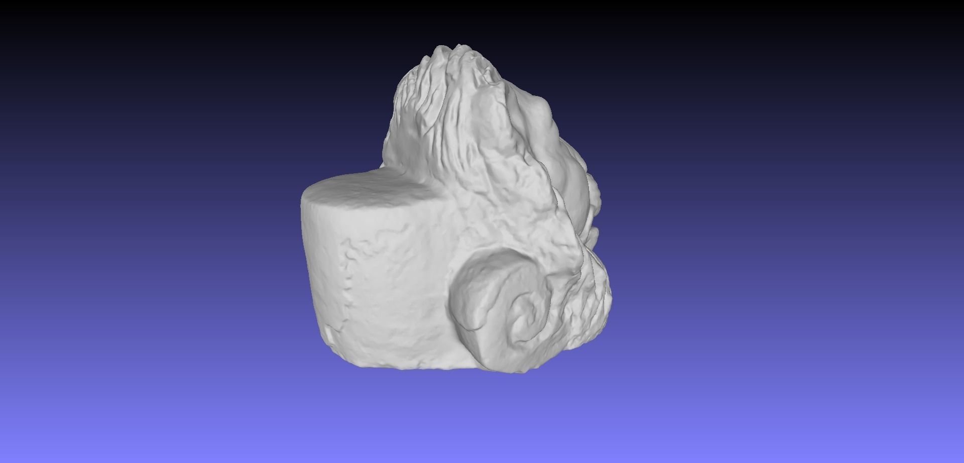 LION HEAD 3D model_15