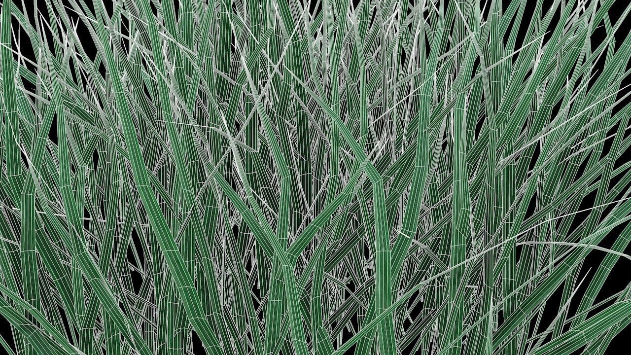 Real Grass Low-poly 3D model_5